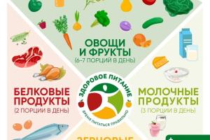 питание